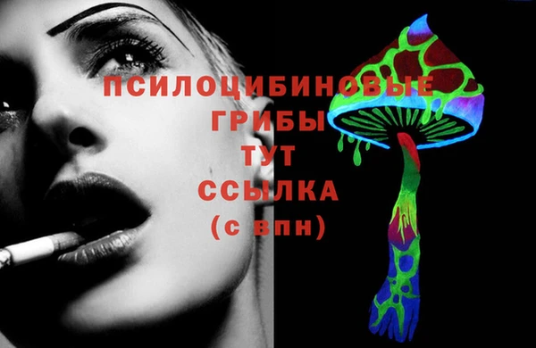 винт Сосновка