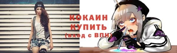 амф Арсеньев