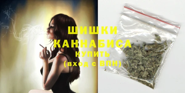 PSILOCYBIN Балабаново